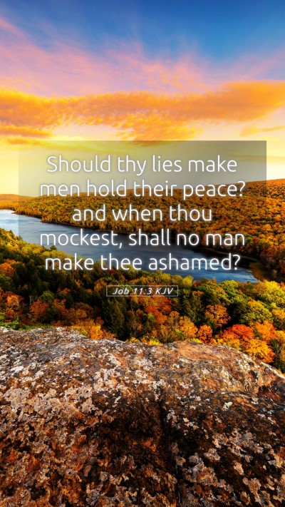 Picture 05 - Job 11:3 KJV Mobile Phone Wallpaper - Should thy lies make men hold their peace? and - Mobile Bible Verse Wallpaper