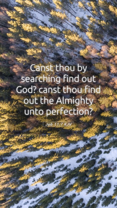 Picture 05 - Job 11:7 KJV Mobile Phone Wallpaper - Canst thou by searching find out God? canst thou - Mobile Bible Verse Wallpaper