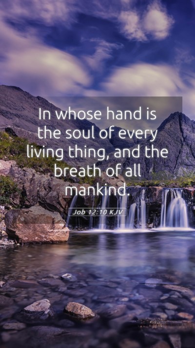 Picture 05 - Job 12:10 KJV Mobile Phone Wallpaper - In whose hand is the soul of every living thing, - Mobile Bible Verse Wallpaper