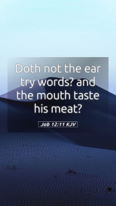 Picture 05 - Job 12:11 KJV Mobile Phone Wallpaper - Doth not the ear try words? and the mouth taste - Mobile Bible Verse Wallpaper