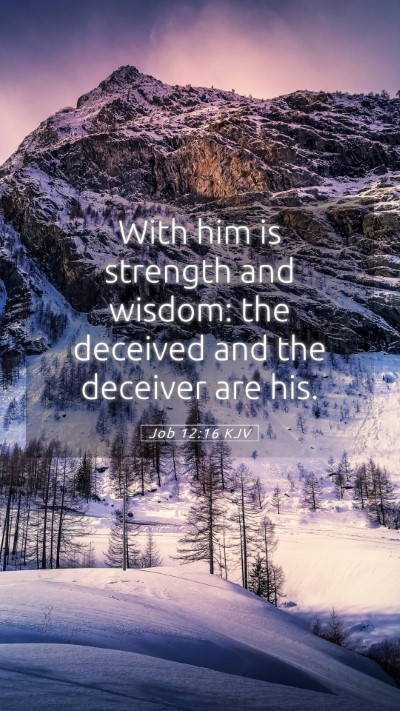 Picture 05 - Job 12:16 KJV Mobile Phone Wallpaper - With him is strength and wisdom: the deceived and - Mobile Bible Verse Wallpaper