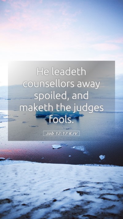 Picture 05 - Job 12:17 KJV Mobile Phone Wallpaper - He leadeth counsellors away spoiled, and maketh - Mobile Bible Verse Wallpaper