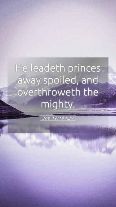 Picture 05 - Job 12:19 KJV Mobile Phone Wallpaper - He leadeth princes away spoiled, and overthroweth - Mobile Bible Verse Wallpaper