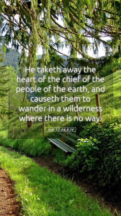 Picture 05 - Job 12:24 KJV Mobile Phone Wallpaper - He taketh away the heart of the chief of the - Mobile Bible Verse Wallpaper