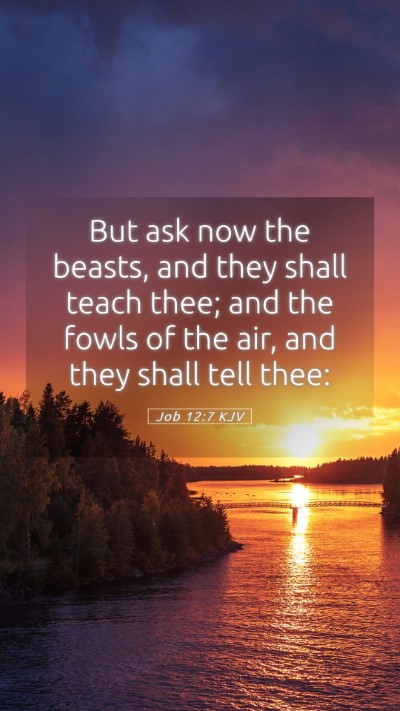 Picture 05 - Job 12:7 KJV Mobile Phone Wallpaper - But ask now the beasts, and they shall teach - Mobile Bible Verse Wallpaper