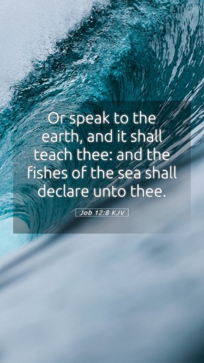 Picture 05 - Job 12:8 KJV Mobile Phone Wallpaper - Or speak to the earth, and it shall teach thee: - Mobile Bible Verse Wallpaper
