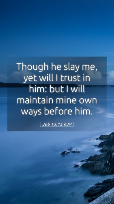 Picture 05 - Job 13:15 KJV Mobile Phone Wallpaper - Though he slay me, yet will I trust in him: but I - Mobile Bible Verse Wallpaper