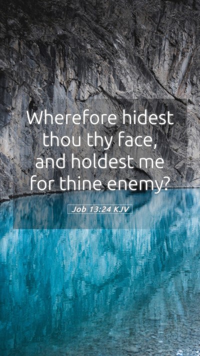 Picture 05 - Job 13:24 KJV Mobile Phone Wallpaper - Wherefore hidest thou thy face, and holdest me - Mobile Bible Verse Wallpaper