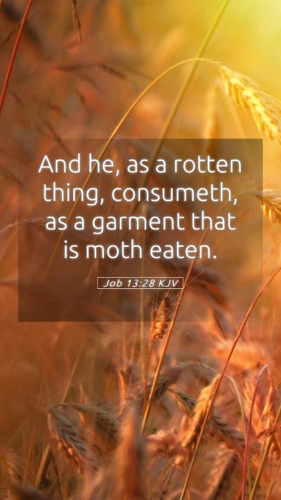 Picture 05 - Job 13:28 KJV Mobile Phone Wallpaper - And he, as a rotten thing, consumeth, as a - Mobile Bible Verse Wallpaper