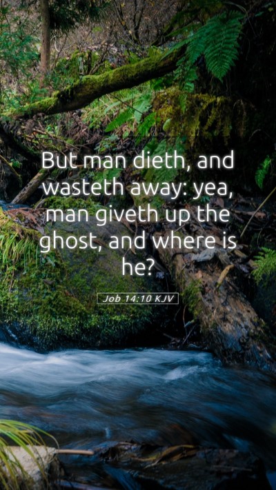 Picture 05 - Job 14:10 KJV Mobile Phone Wallpaper - But man dieth, and wasteth away: yea, man giveth - Mobile Bible Verse Wallpaper
