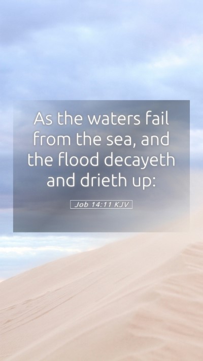 Picture 05 - Job 14:11 KJV Mobile Phone Wallpaper - As the waters fail from the sea, and the flood - Mobile Bible Verse Wallpaper