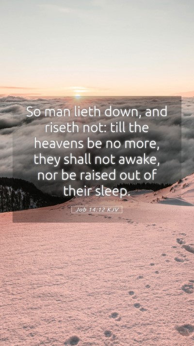 Picture 05 - Job 14:12 KJV Mobile Phone Wallpaper - So man lieth down, and riseth not: till the - Mobile Bible Verse Wallpaper
