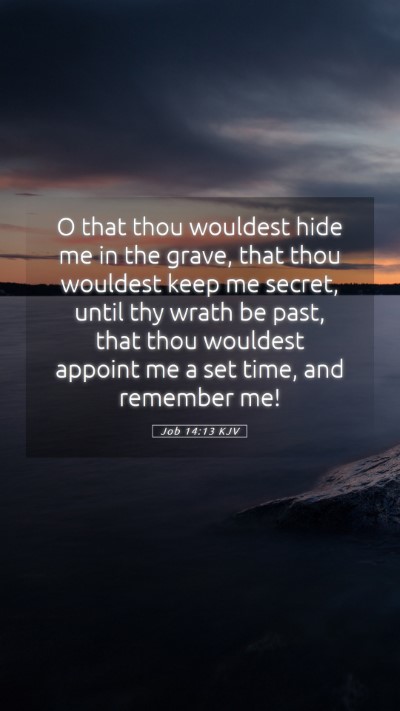 Picture 05 - Job 14:13 KJV Mobile Phone Wallpaper - O that thou wouldest hide me in the grave, that - Mobile Bible Verse Wallpaper