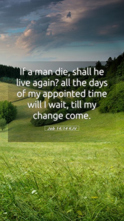 Picture 05 - Job 14:14 KJV Mobile Phone Wallpaper - If a man die, shall he live again? all the days - Mobile Bible Verse Wallpaper