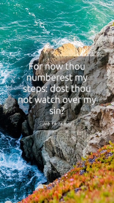 Picture 05 - Job 14:16 KJV Mobile Phone Wallpaper - For now thou numberest my steps: dost thou not - Mobile Bible Verse Wallpaper