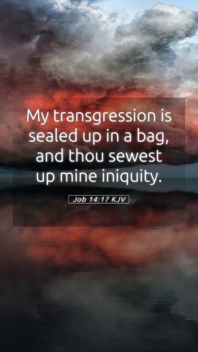Picture 05 - Job 14:17 KJV Mobile Phone Wallpaper - My transgression is sealed up in a bag, and thou - Mobile Bible Verse Wallpaper