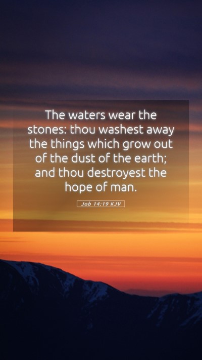 Picture 05 - Job 14:19 KJV Mobile Phone Wallpaper - The waters wear the stones: thou washest away the - Mobile Bible Verse Wallpaper