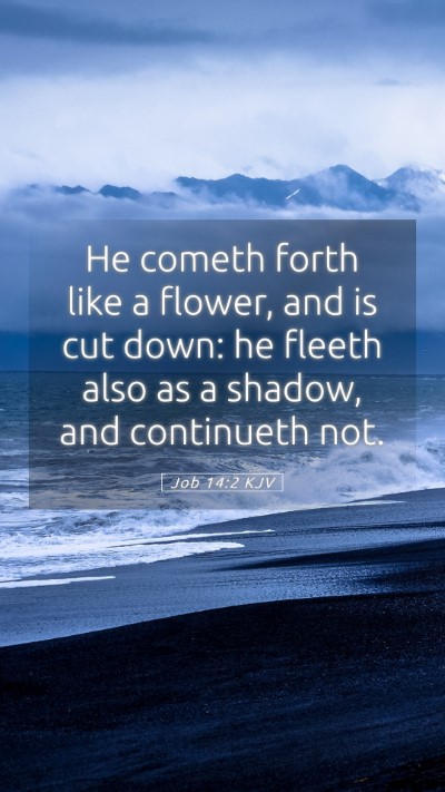 Picture 05 - Job 14:2 KJV Mobile Phone Wallpaper - He cometh forth like a flower, and is cut down: - Mobile Bible Verse Wallpaper