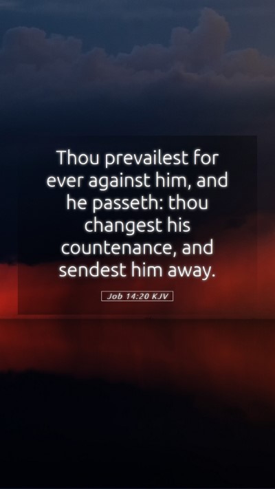 Picture 05 - Job 14:20 KJV Mobile Phone Wallpaper - Thou prevailest for ever against him, and he - Mobile Bible Verse Wallpaper