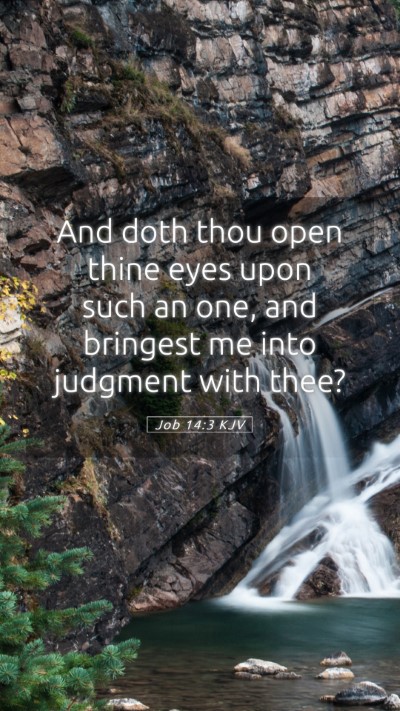 Picture 05 - Job 14:3 KJV Mobile Phone Wallpaper - And doth thou open thine eyes upon such an one, - Mobile Bible Verse Wallpaper