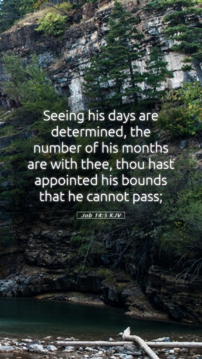 Picture 05 - Job 14:5 KJV Mobile Phone Wallpaper - Seeing his days are determined, the number of his - Mobile Bible Verse Wallpaper