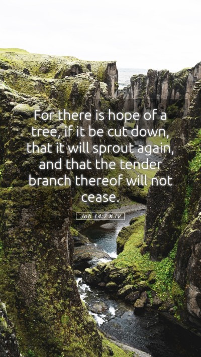 Picture 05 - Job 14:7 KJV Mobile Phone Wallpaper - For there is hope of a tree, if it be cut down, - Mobile Bible Verse Wallpaper