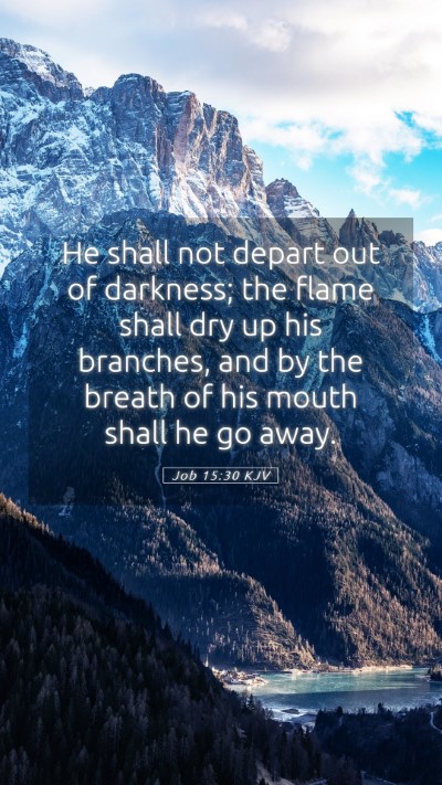 Picture 05 - Job 15:30 KJV Mobile Phone Wallpaper - He shall not depart out of darkness; the flame - Mobile Bible Verse Wallpaper