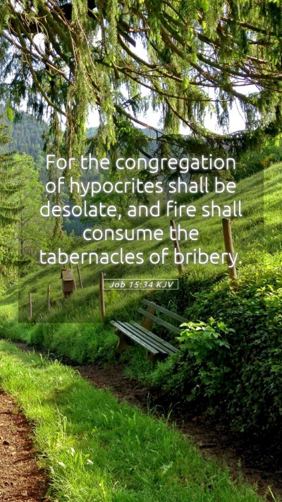 Picture 05 - Job 15:34 KJV Mobile Phone Wallpaper - For the congregation of hypocrites shall be - Mobile Bible Verse Wallpaper