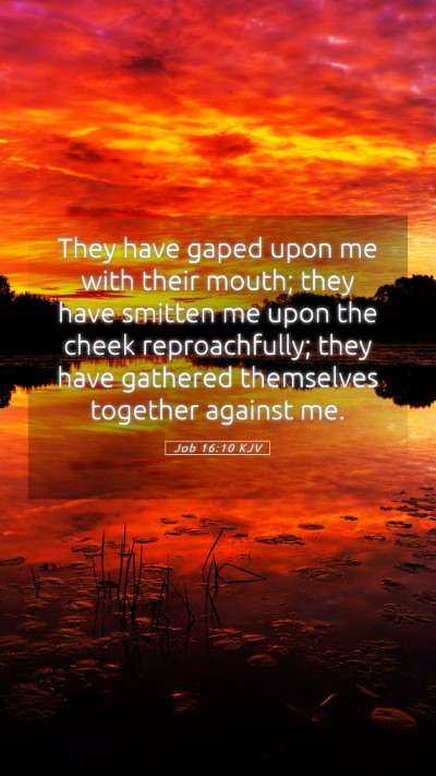 Picture 05 - Job 16:10 KJV Mobile Phone Wallpaper - They have gaped upon me with their mouth; they - Mobile Bible Verse Wallpaper