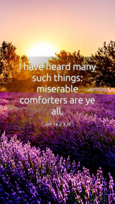 Picture 05 - Job 16:2 KJV Mobile Phone Wallpaper - I have heard many such things: miserable - Mobile Bible Verse Wallpaper
