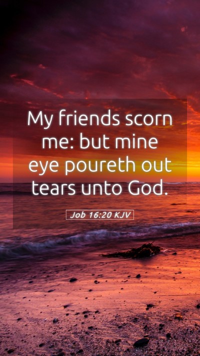 Picture 05 - Job 16:20 KJV Mobile Phone Wallpaper - My friends scorn me: but mine eye poureth out - Mobile Bible Verse Wallpaper