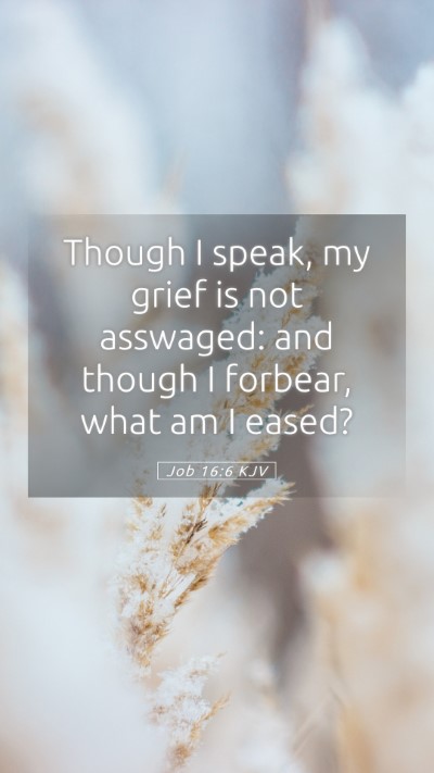 Picture 05 - Job 16:6 KJV Mobile Phone Wallpaper - Though I speak, my grief is not asswaged: and - Mobile Bible Verse Wallpaper