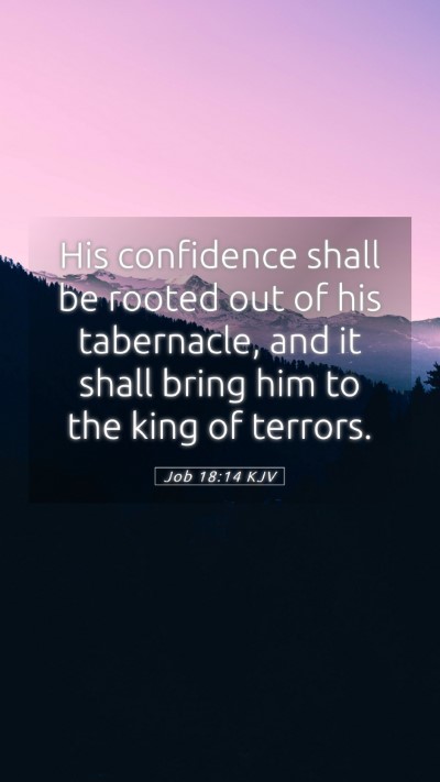 Picture 05 - Job 18:14 KJV Mobile Phone Wallpaper - His confidence shall be rooted out of his - Mobile Bible Verse Wallpaper