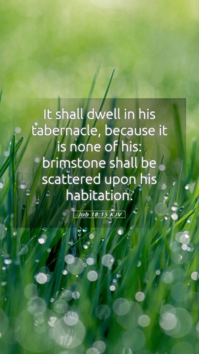 Picture 05 - Job 18:15 KJV Mobile Phone Wallpaper - It shall dwell in his tabernacle, because it is - Mobile Bible Verse Wallpaper