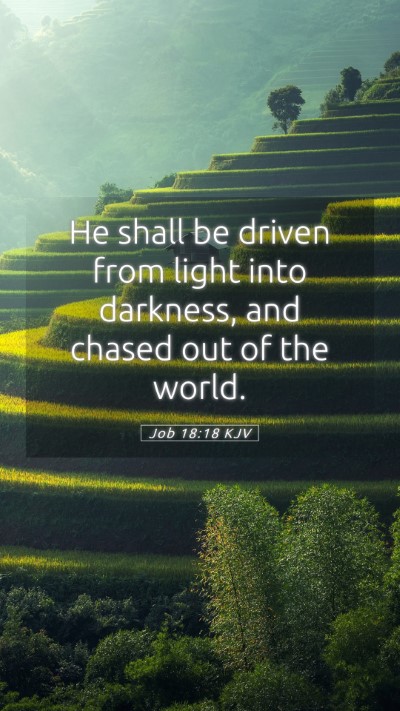 Picture 05 - Job 18:18 KJV Mobile Phone Wallpaper - He shall be driven from light into darkness, and - Mobile Bible Verse Wallpaper