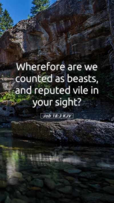 Picture 05 - Job 18:3 KJV Mobile Phone Wallpaper - Wherefore are we counted as beasts, and reputed - Mobile Bible Verse Wallpaper