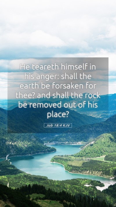 Picture 05 - Job 18:4 KJV Mobile Phone Wallpaper - He teareth himself in his anger: shall the earth - Mobile Bible Verse Wallpaper