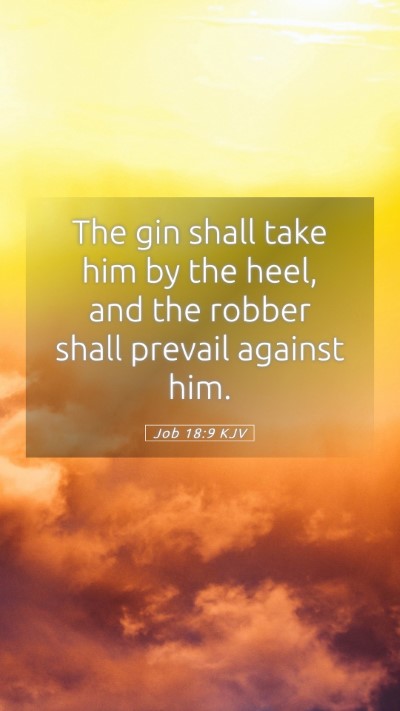 Picture 05 - Job 18:9 KJV Mobile Phone Wallpaper - The gin shall take him by the heel, and the - Mobile Bible Verse Wallpaper