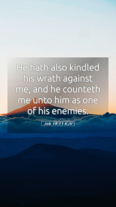 Picture 05 - Job 19:11 KJV Mobile Phone Wallpaper - He hath also kindled his wrath against me, and he - Mobile Bible Verse Wallpaper