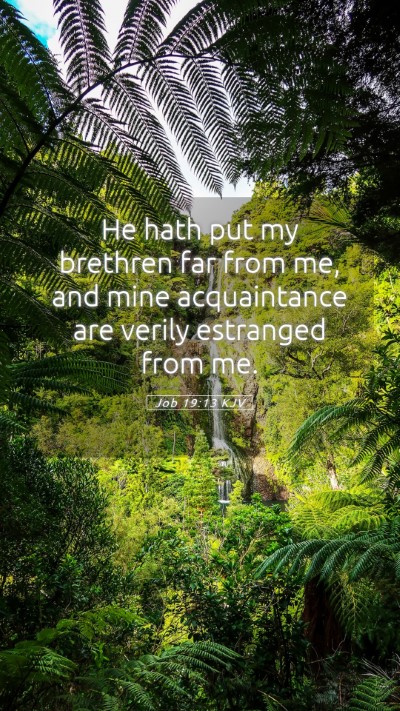 Picture 05 - Job 19:13 KJV Mobile Phone Wallpaper - He hath put my brethren far from me, and mine - Mobile Bible Verse Wallpaper
