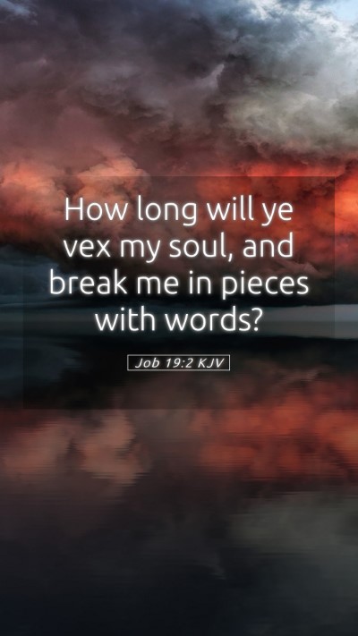 Picture 05 - Job 19:2 KJV Mobile Phone Wallpaper - How long will ye vex my soul, and break me in - Mobile Bible Verse Wallpaper