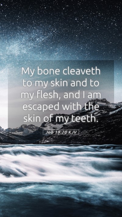 Picture 05 - Job 19:20 KJV Mobile Phone Wallpaper - My bone cleaveth to my skin and to my flesh, and - Mobile Bible Verse Wallpaper