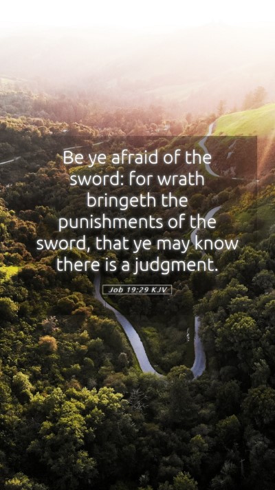Picture 05 - Job 19:29 KJV Mobile Phone Wallpaper - Be ye afraid of the sword: for wrath bringeth the - Mobile Bible Verse Wallpaper