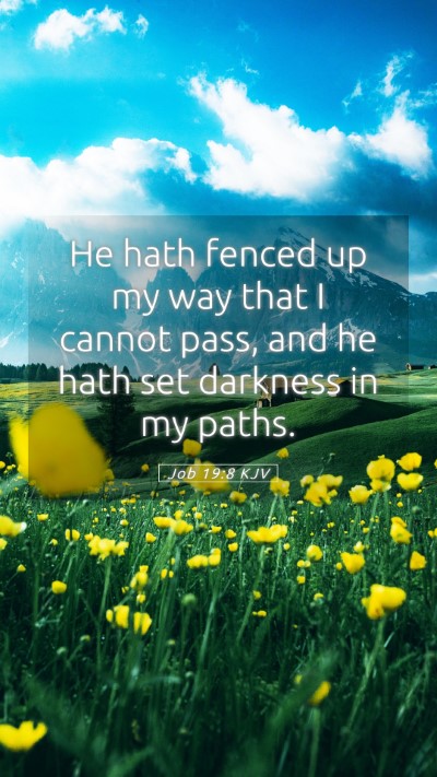 Picture 05 - Job 19:8 KJV Mobile Phone Wallpaper - He hath fenced up my way that I cannot pass, and - Mobile Bible Verse Wallpaper