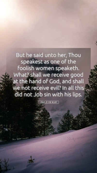 Picture 05 - Job 2:10 KJV Mobile Phone Wallpaper - But he said unto her, Thou speakest as one of the - Mobile Bible Verse Wallpaper
