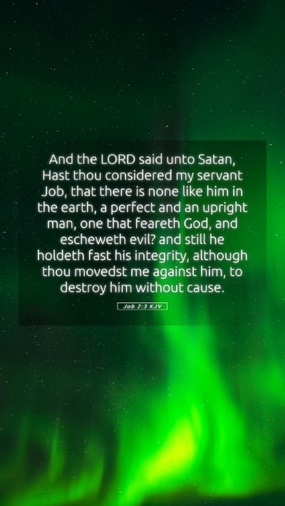 Picture 05 - Job 2:3 KJV Mobile Phone Wallpaper - And the LORD said unto Satan, Hast thou - Mobile Bible Verse Wallpaper