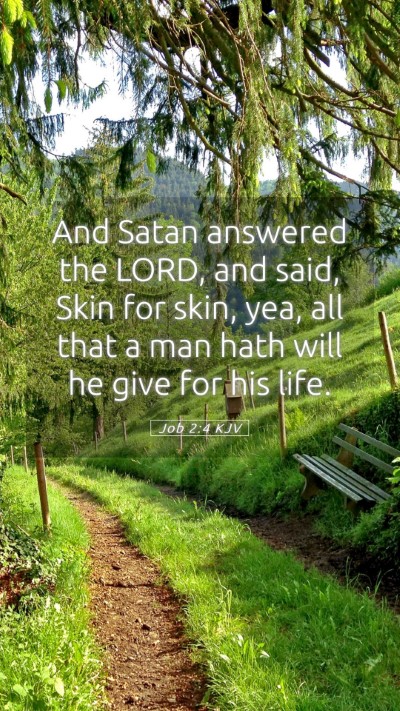 Picture 05 - Job 2:4 KJV Mobile Phone Wallpaper - And Satan answered the LORD, and said, Skin for - Mobile Bible Verse Wallpaper