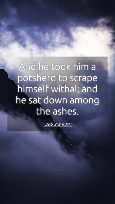 Picture 05 - Job 2:8 KJV Mobile Phone Wallpaper - And he took him a potsherd to scrape himself - Mobile Bible Verse Wallpaper