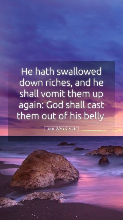 Picture 05 - Job 20:15 KJV Mobile Phone Wallpaper - He hath swallowed down riches, and he shall vomit - Mobile Bible Verse Wallpaper
