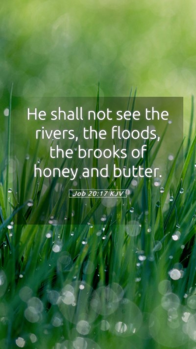 Picture 05 - Job 20:17 KJV Mobile Phone Wallpaper - He shall not see the rivers, the floods, the - Mobile Bible Verse Wallpaper
